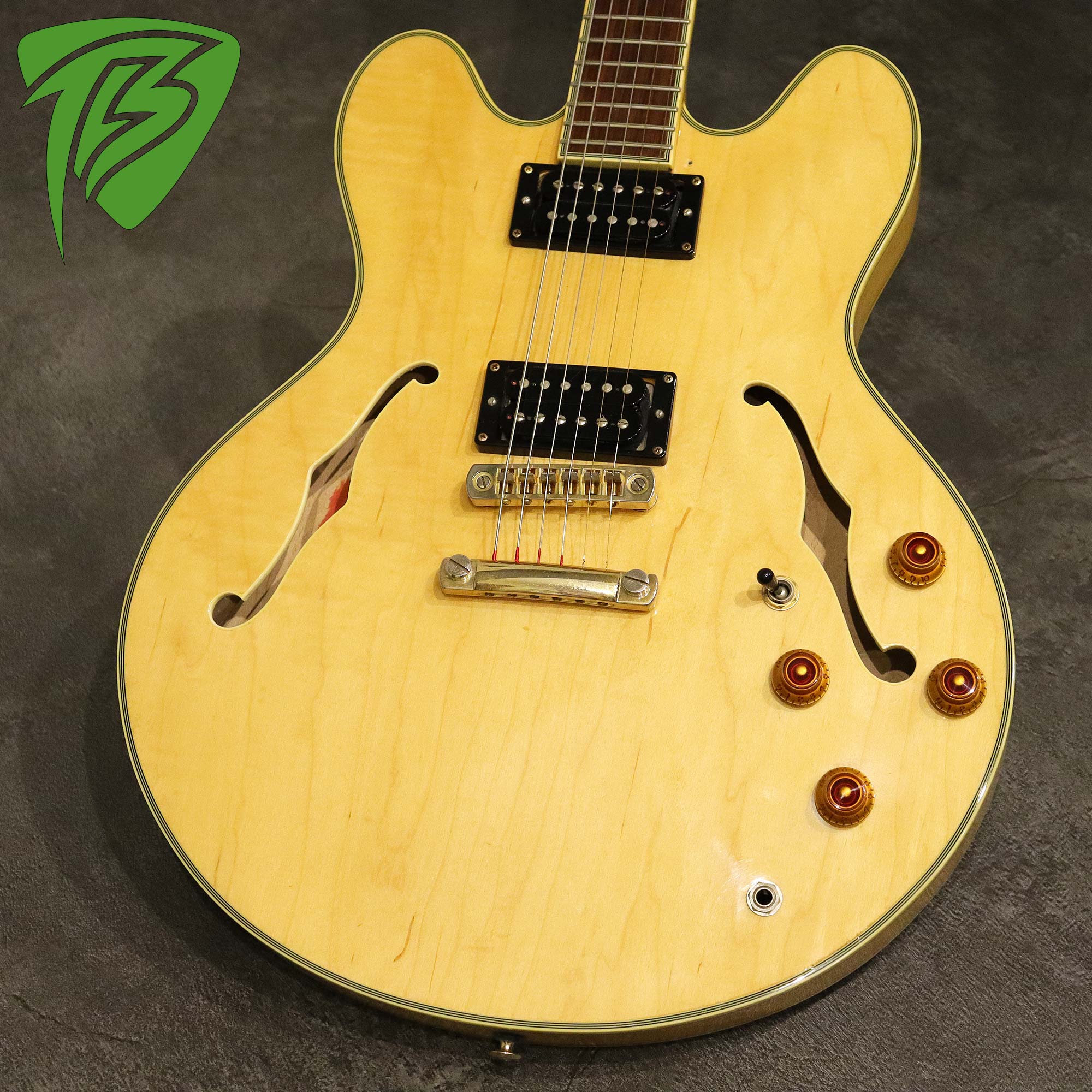 Epiphone Sheraton II エピフォン シェラトンII Epiphone / Sheraton II Ebony お買い得です！ – GuitarQuest